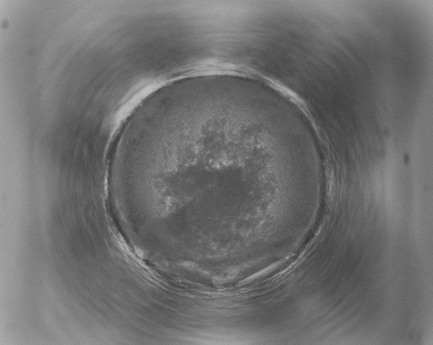 X0000056331415200509092316