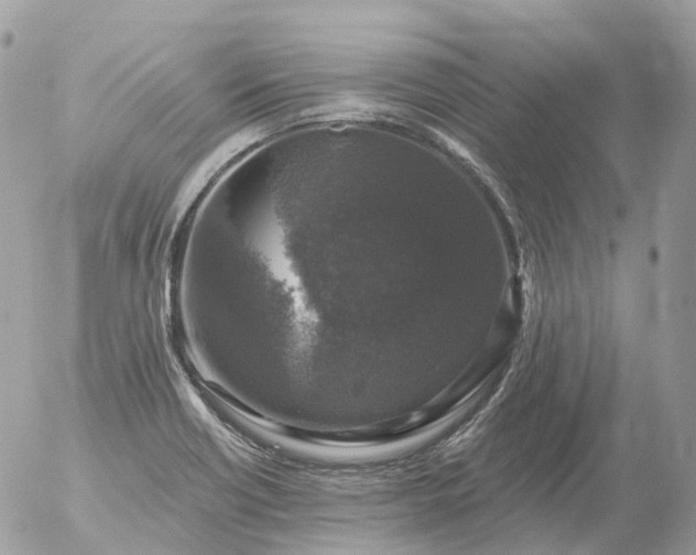 X0000056331418200509092316