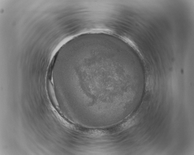 X0000056331420200509092316