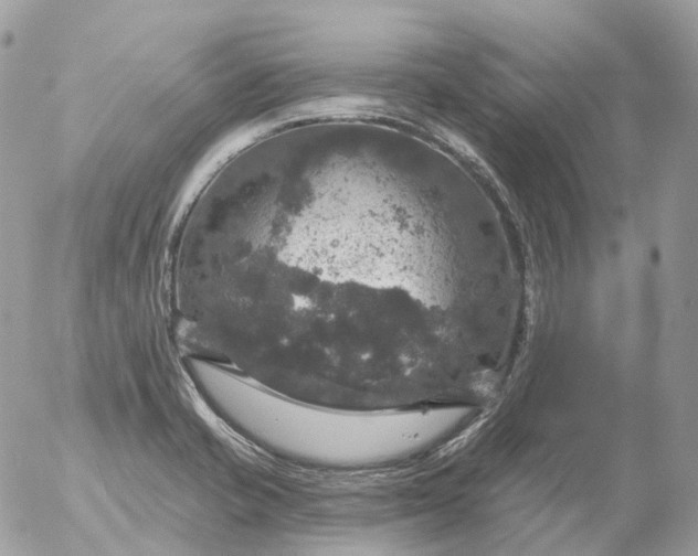 X0000056331421200509092316