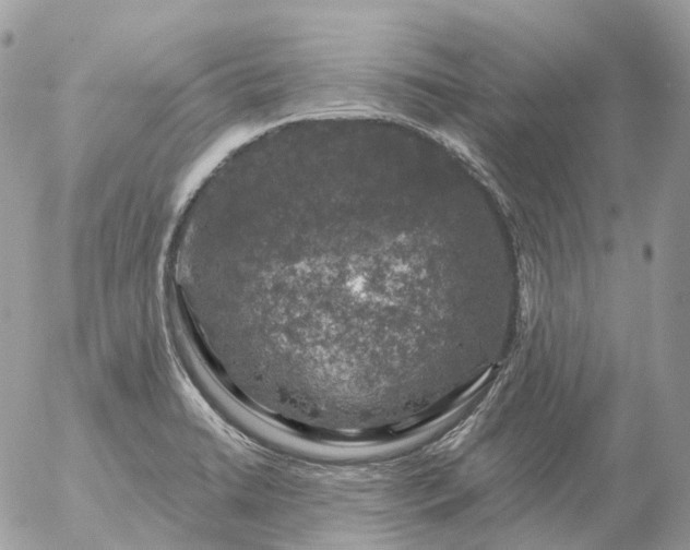 X0000056331422200509092316