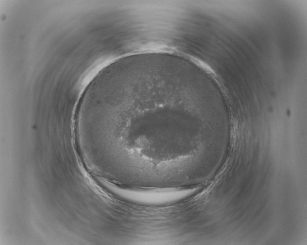 X0000056331423200509092316