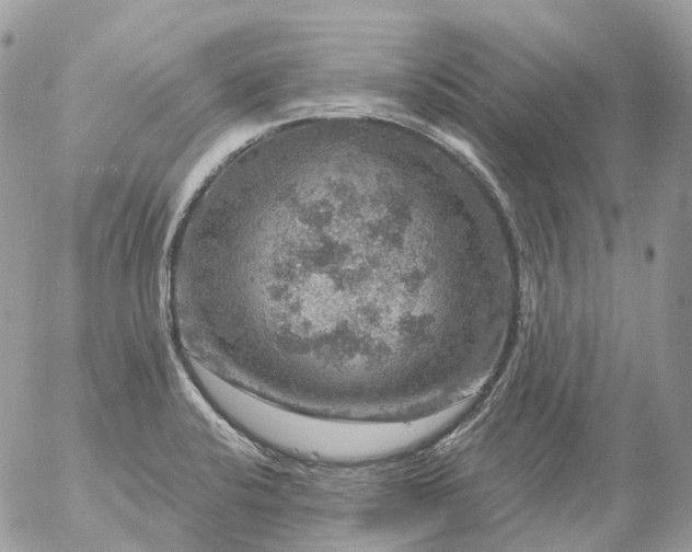 X0000056331424200509092316