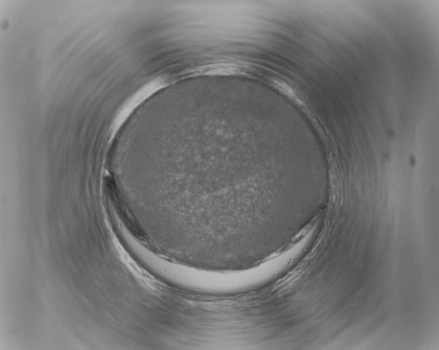 X0000056331426200509092317