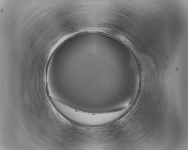 X0000056331428200509092317