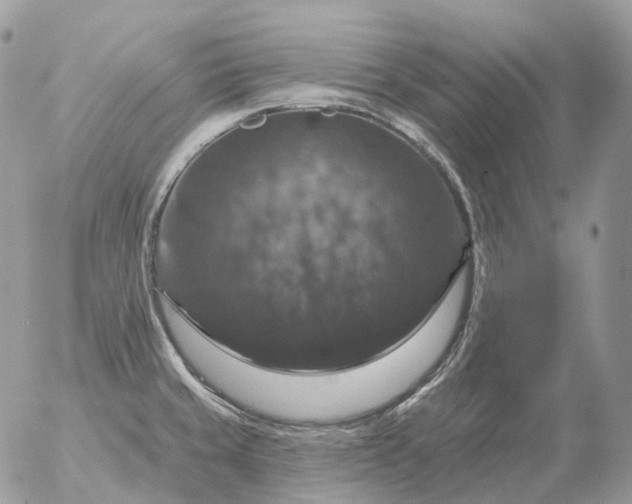 X0000056331429200509092317