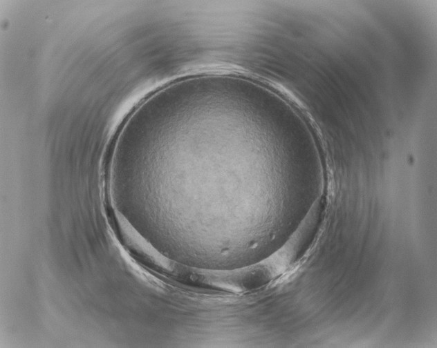 X0000056331430200509092317