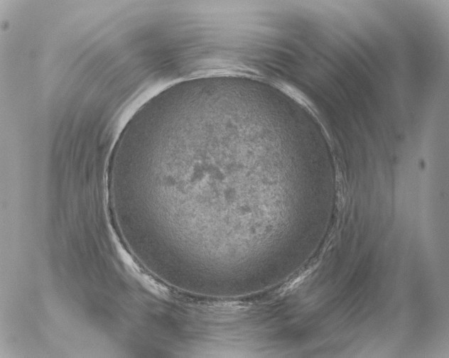 X0000056331431200509092317