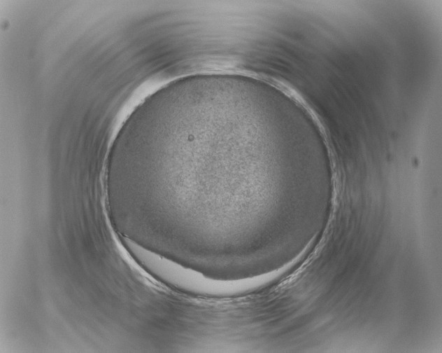 X0000056331432200509092317