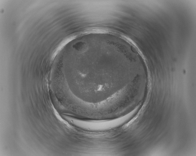 X0000056331433200509092317