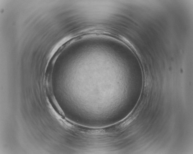 X0000056331434200509092317