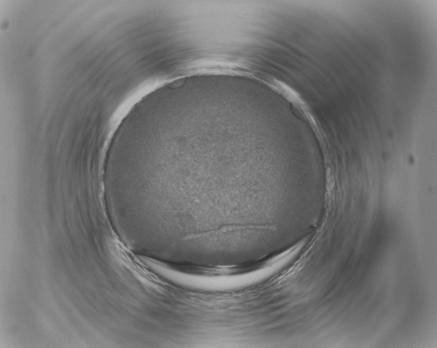 X0000056331435200509092317