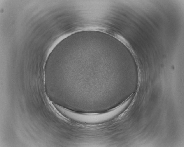 X0000056331436200509092317