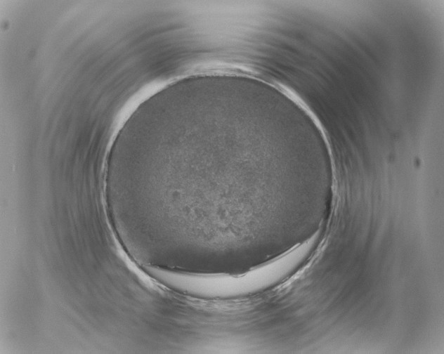 X0000056331437200509092317