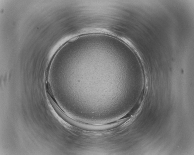 X0000056331438200509092317