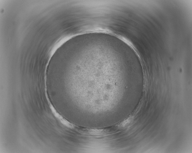 X0000056331439200509092317