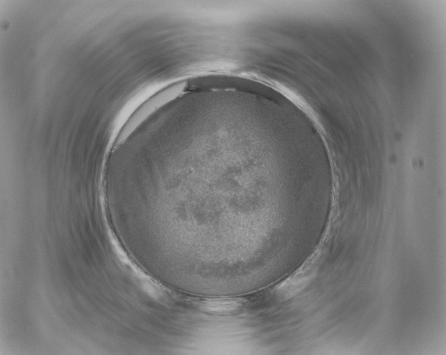 X0000056331440200509092317