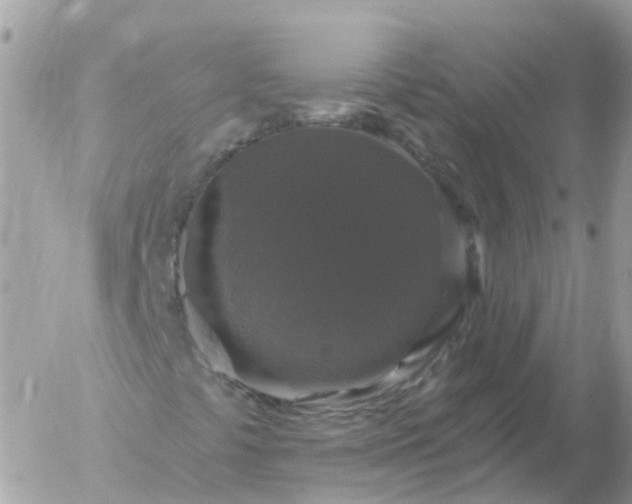 X0000056331441200509092316