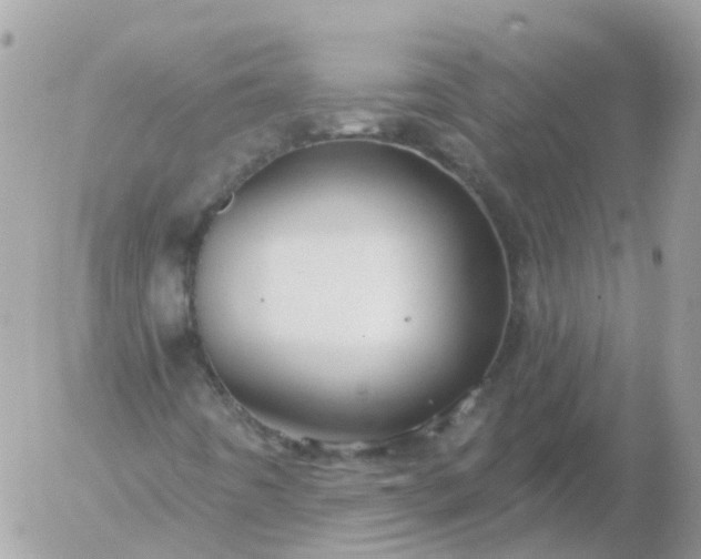 X0000056331442200509092316