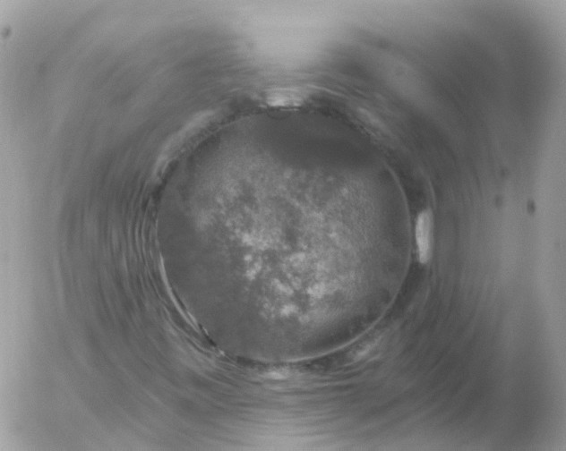 X0000056331443200509092316