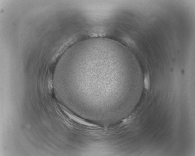 X0000056331444200509092316