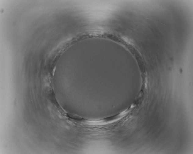 X0000056331445200509092316