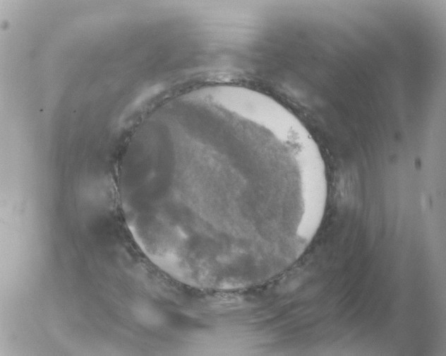 X0000056331446200509092316