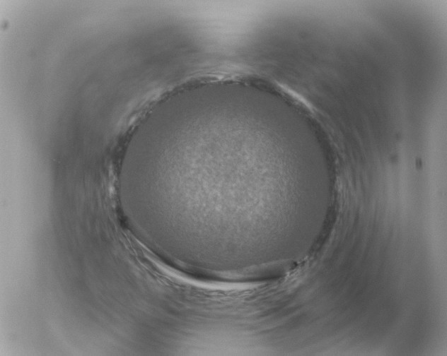 X0000056331447200509092316