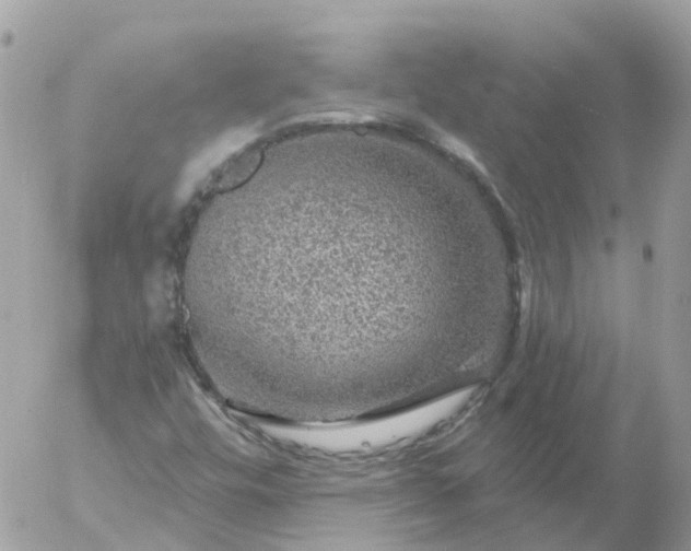 X0000056331448200509092316