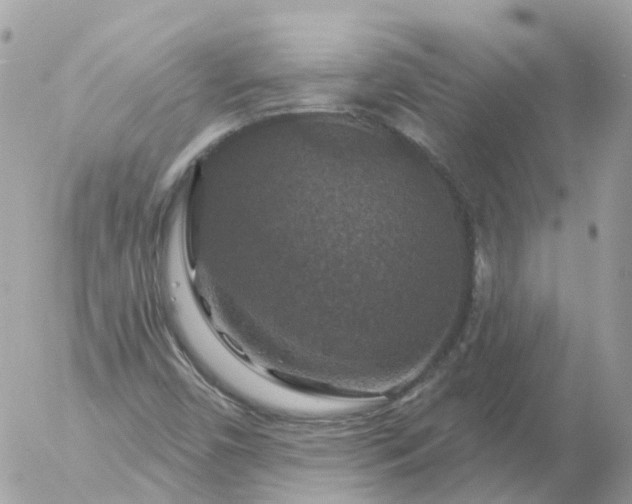 X0000056331450200509092316