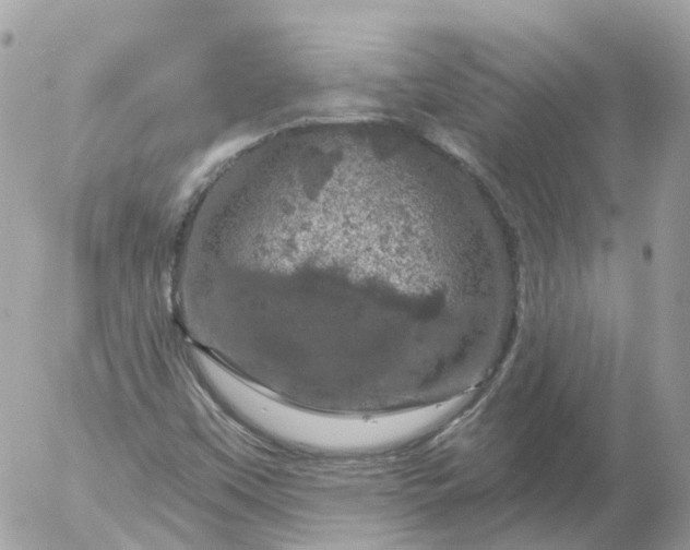 X0000056331451200509092316