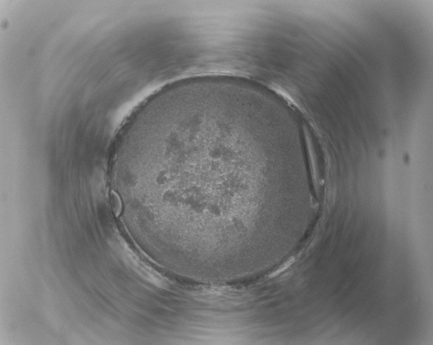 X0000056331452200509092316