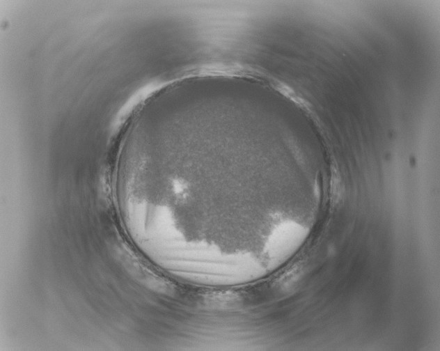 X0000056331454200509092316