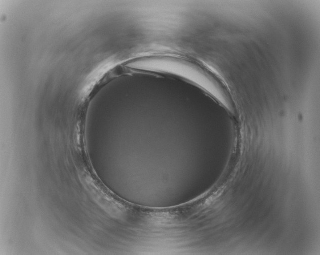 X0000056331455200509092316