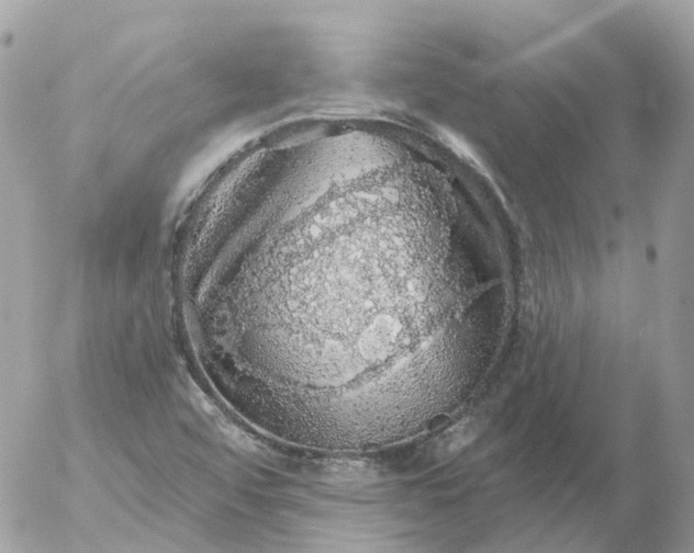 X0000056331456200509092316