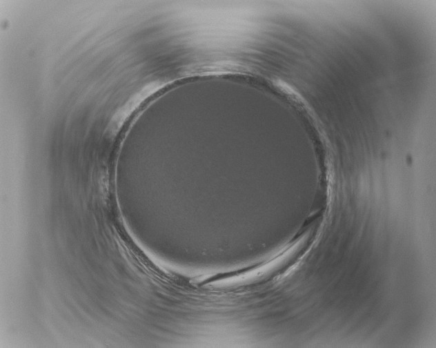 X0000056331457200509092316