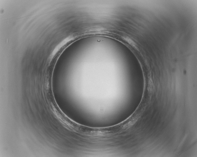 X0000056331458200509092316