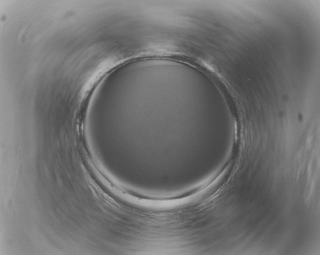 X0000056331459200509092316