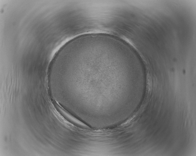 X0000056331460200509092316