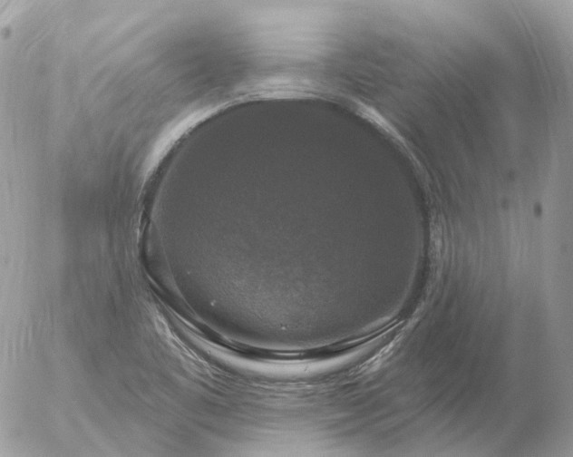 X0000056331461200509092316