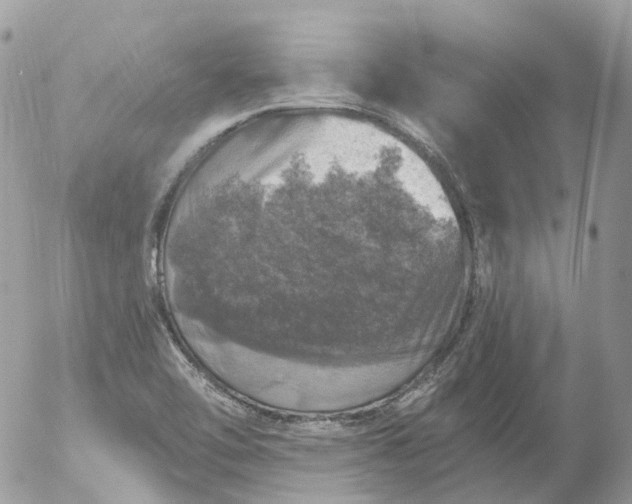 X0000056331462200509092316