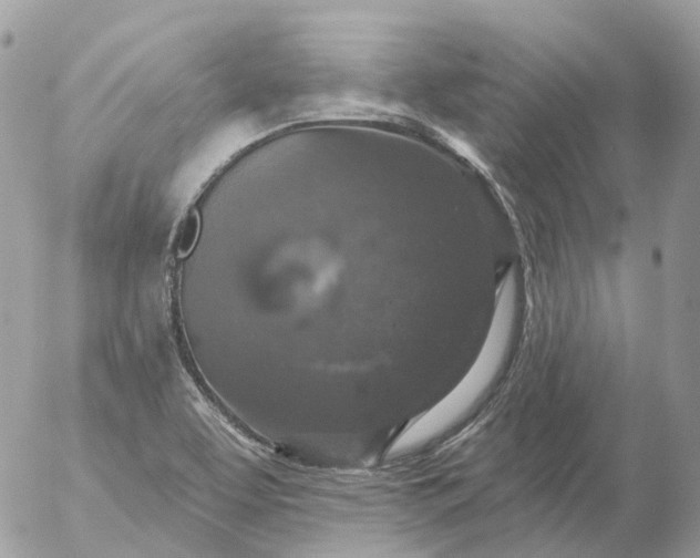 X0000056331463200509092316