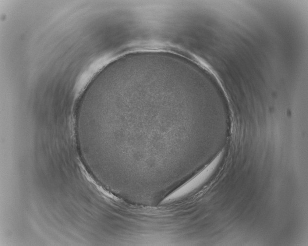 X0000056331464200509092316