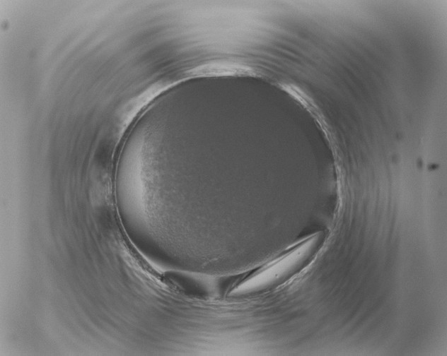 X0000056331465200509092316