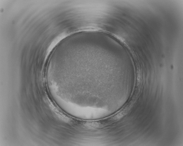 X0000056331466200509092316