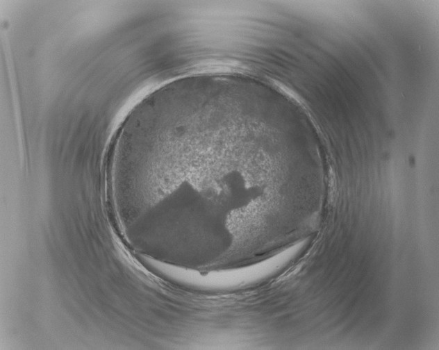 X0000056331467200509092316