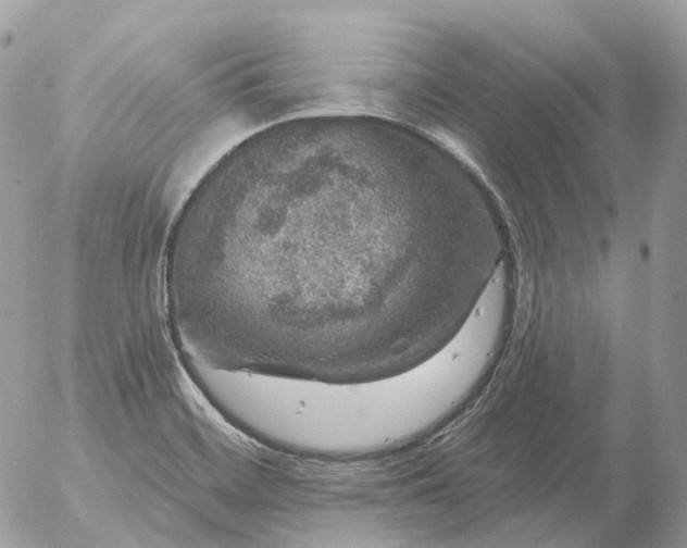 X0000056331468200509092316