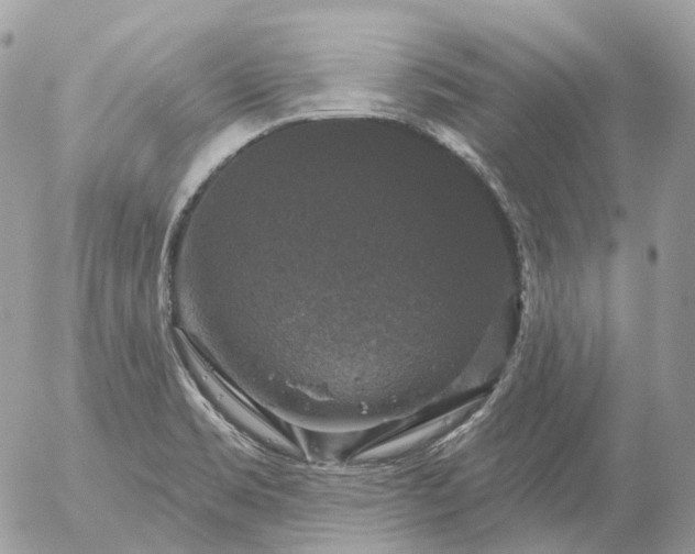 X0000056331469200509092316