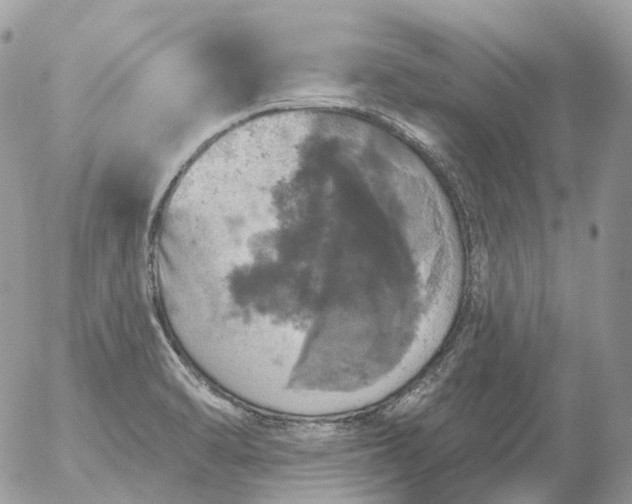 X0000056331470200509092315