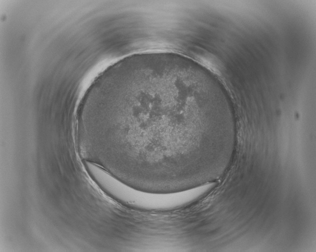 X0000056331472200509092315